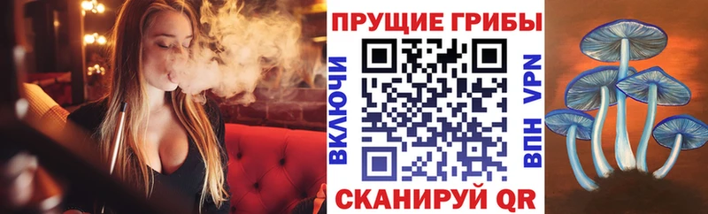 Псилоцибиновые грибы мицелий  Трёхгорный 